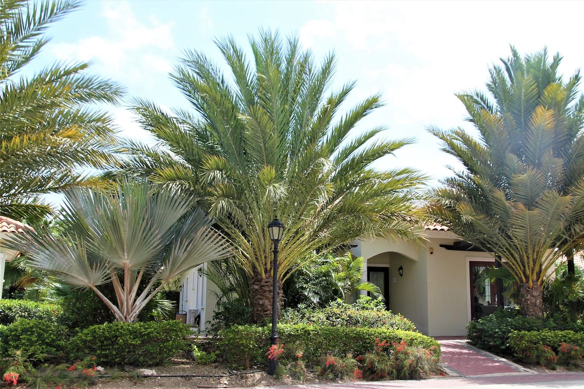 A building with a white facade, surrounded by lush greenery including palm trees and flowering plants.