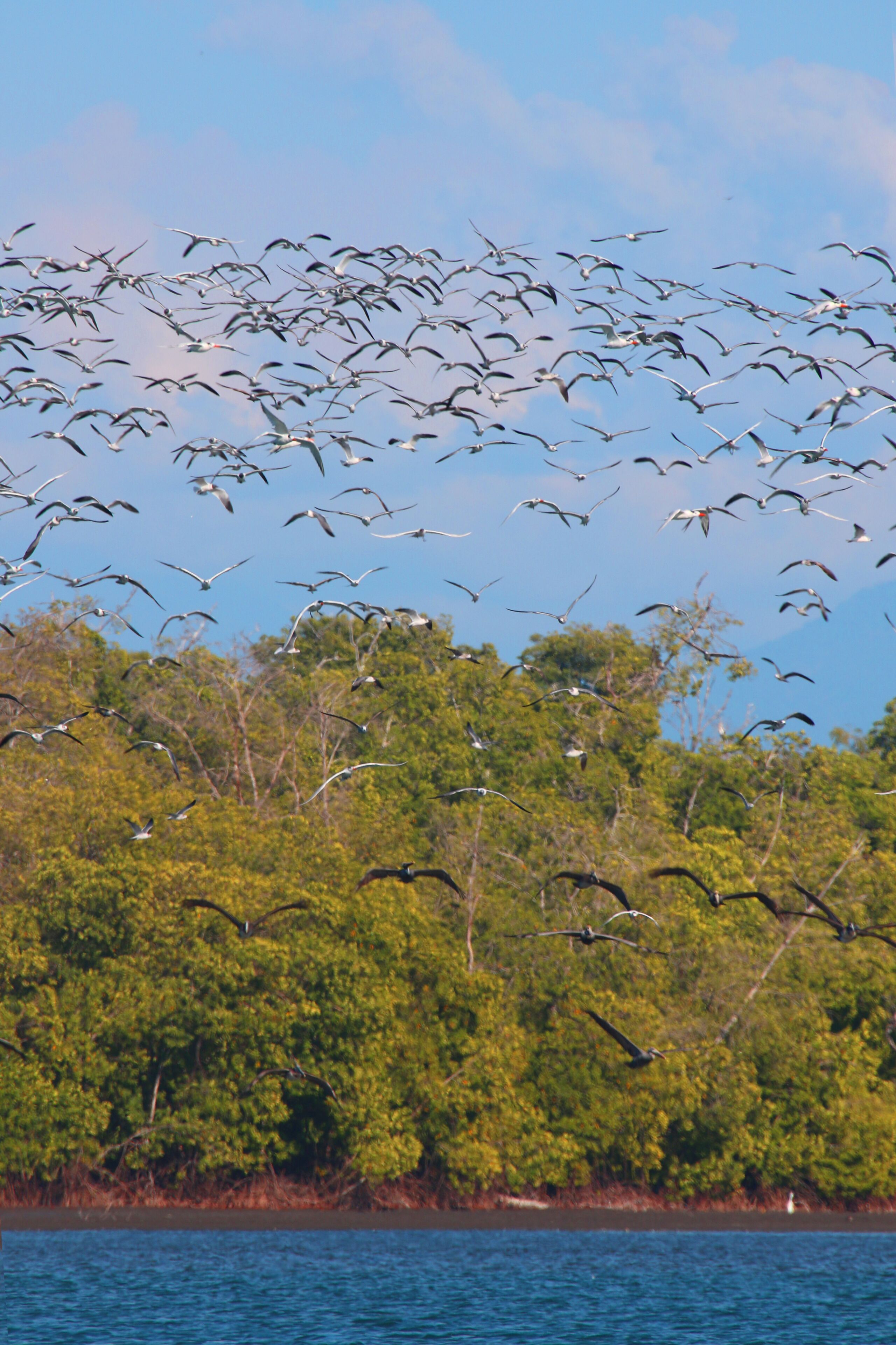 land view from property