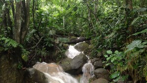 Property grounds - La Musa Verde (Tarapoto)