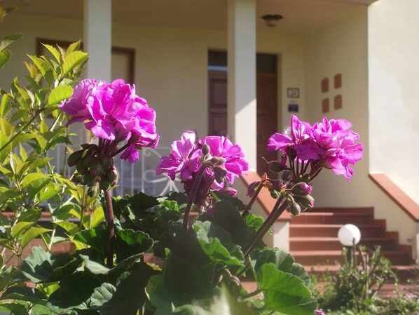 Front of property - Villa Sabrina (Arezzo)