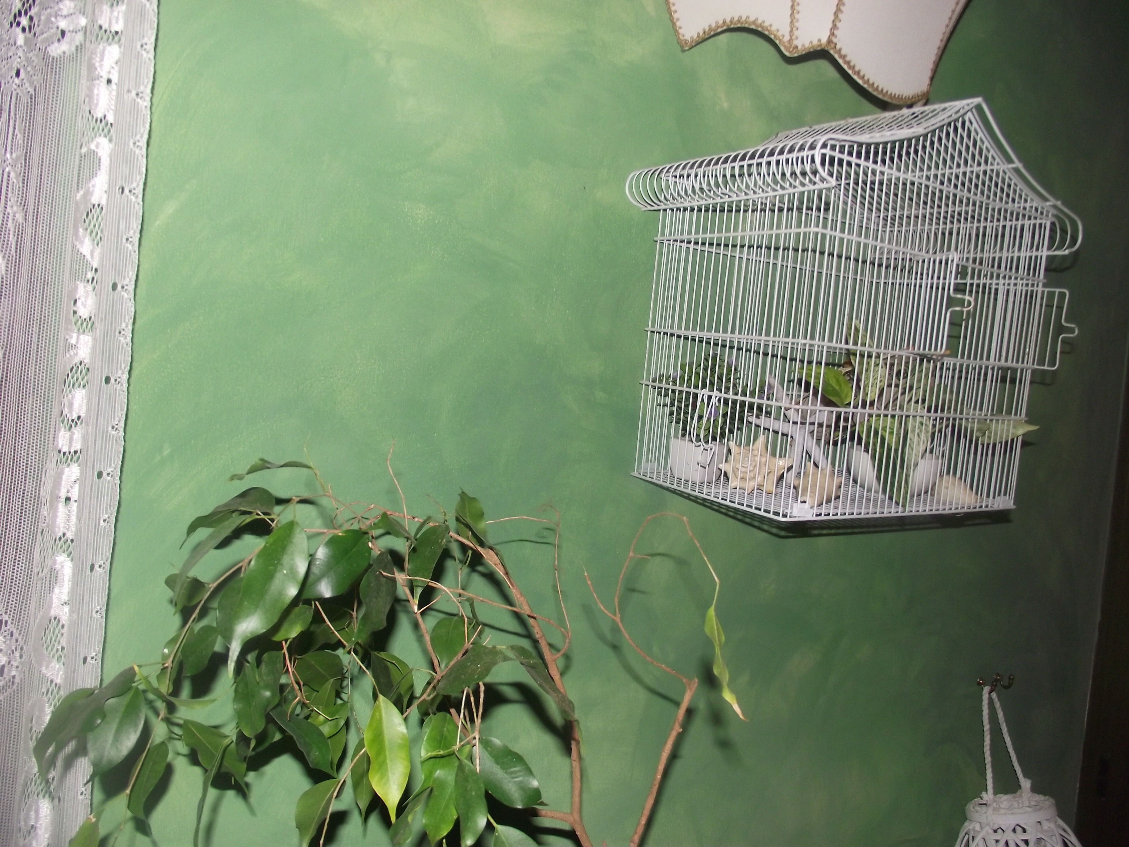 Een kamer met een groene wand, een witte vogelkooi en een bloempot.