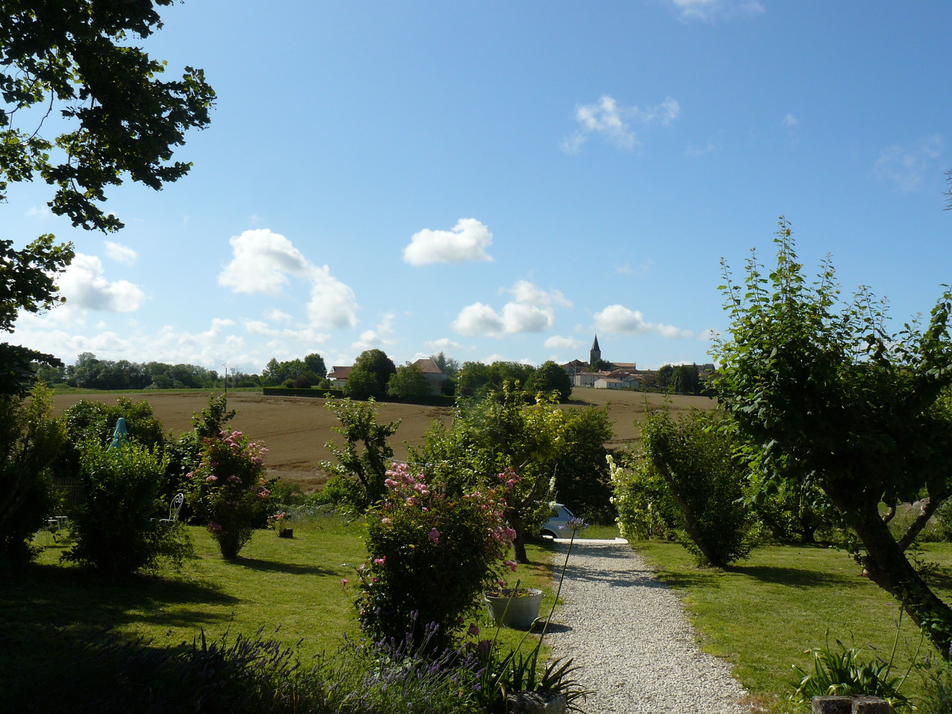 A rural landscape with a gravel path leading through a garden with various plants and flowers.