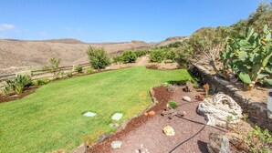 Un jardín ajardinado con césped, un camino de piedra y diversas plantas, incluyendo un cactus.