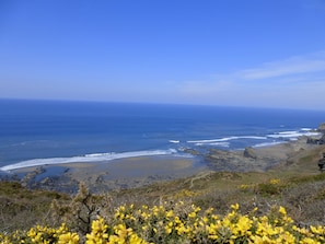 Beach - The Old Shippon, Crackington Haven, Bude, Cornwall, walk to the Beach Pub. (Crackington Haven)