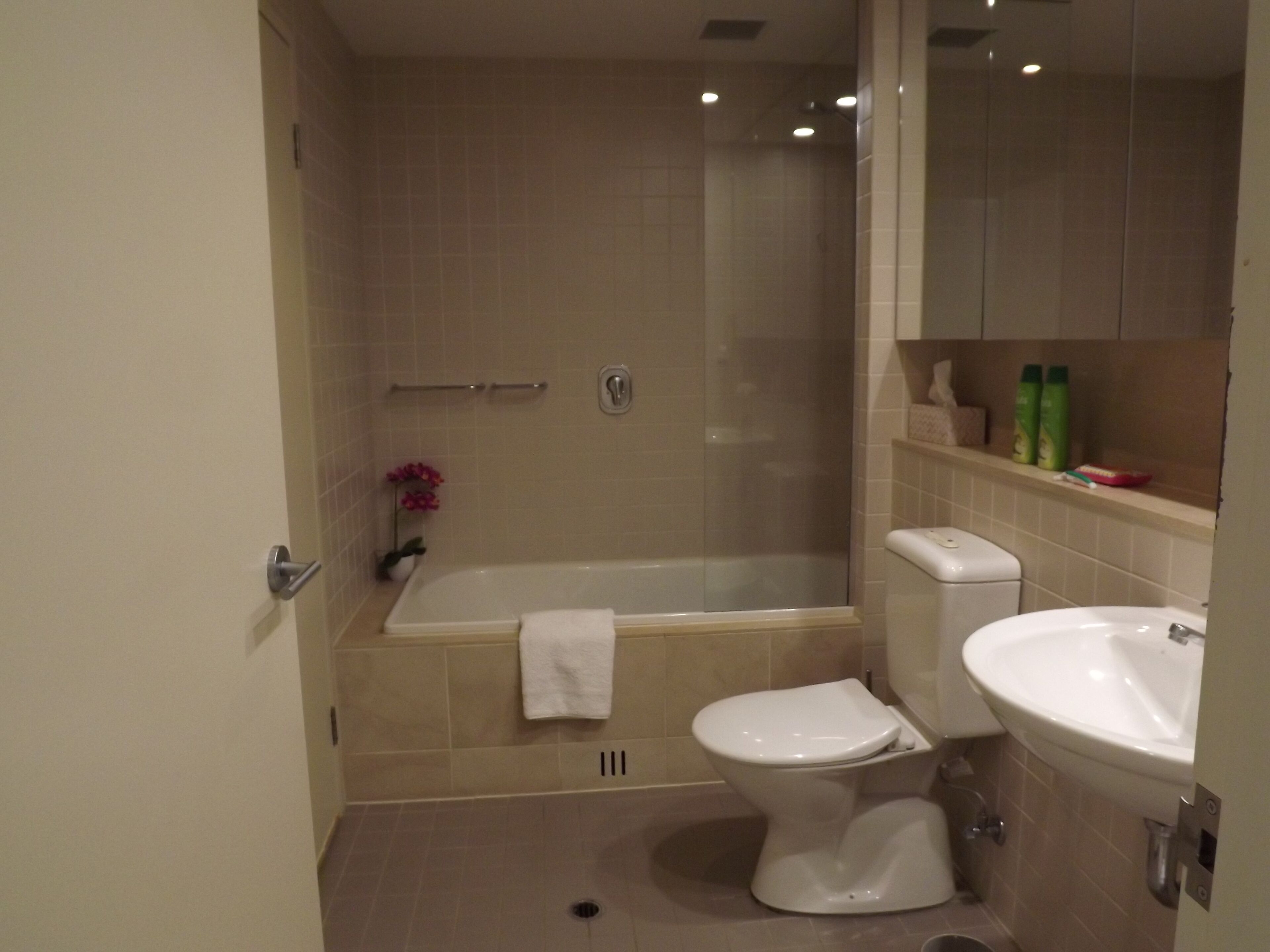 executive apartment, 2 bedrooms, non smoking, park view | bathroom | combined shower/bathtub, free toiletries, hair dryer, towels