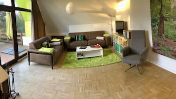 Televisión, chimenea, reproductor de DVD y libros