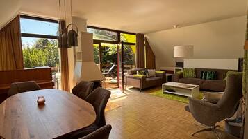 Télévision, cheminée, lecteur de DVD, livres