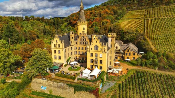 Eine Burg mit einem markanten Turm, umgeben von üppigen Weinbergen und einem Burggraben.