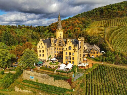 Middle Rhine / Rhine Valley -Holidays for 6 people