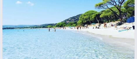 Plage à proximité