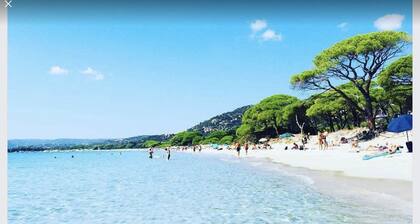 Villa de standing piscine privée à 500m de la plage St Cyprien Porto Vecchio