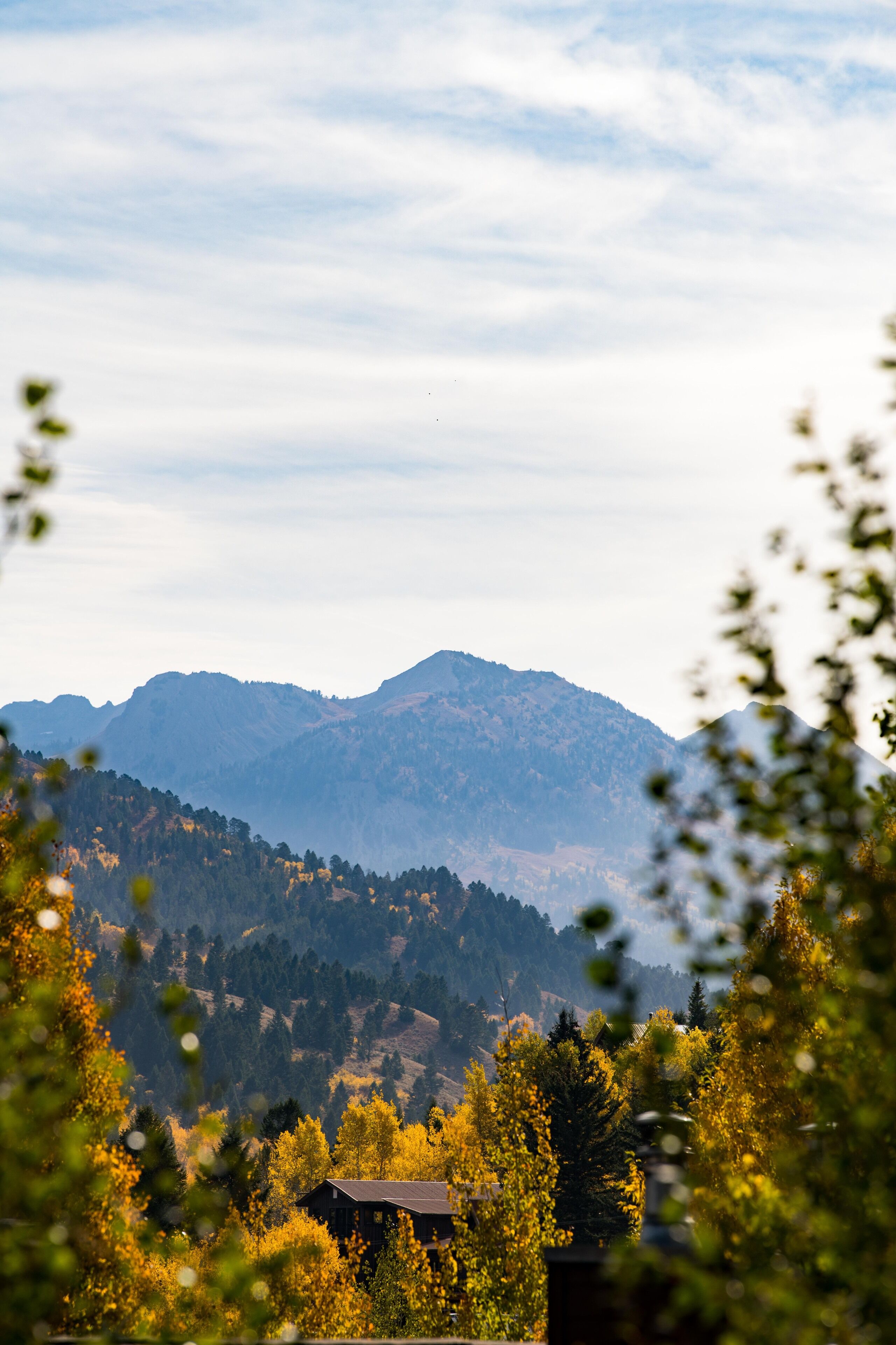 Un paysage montagneux avec une maison nichée au milieu des arbres.
