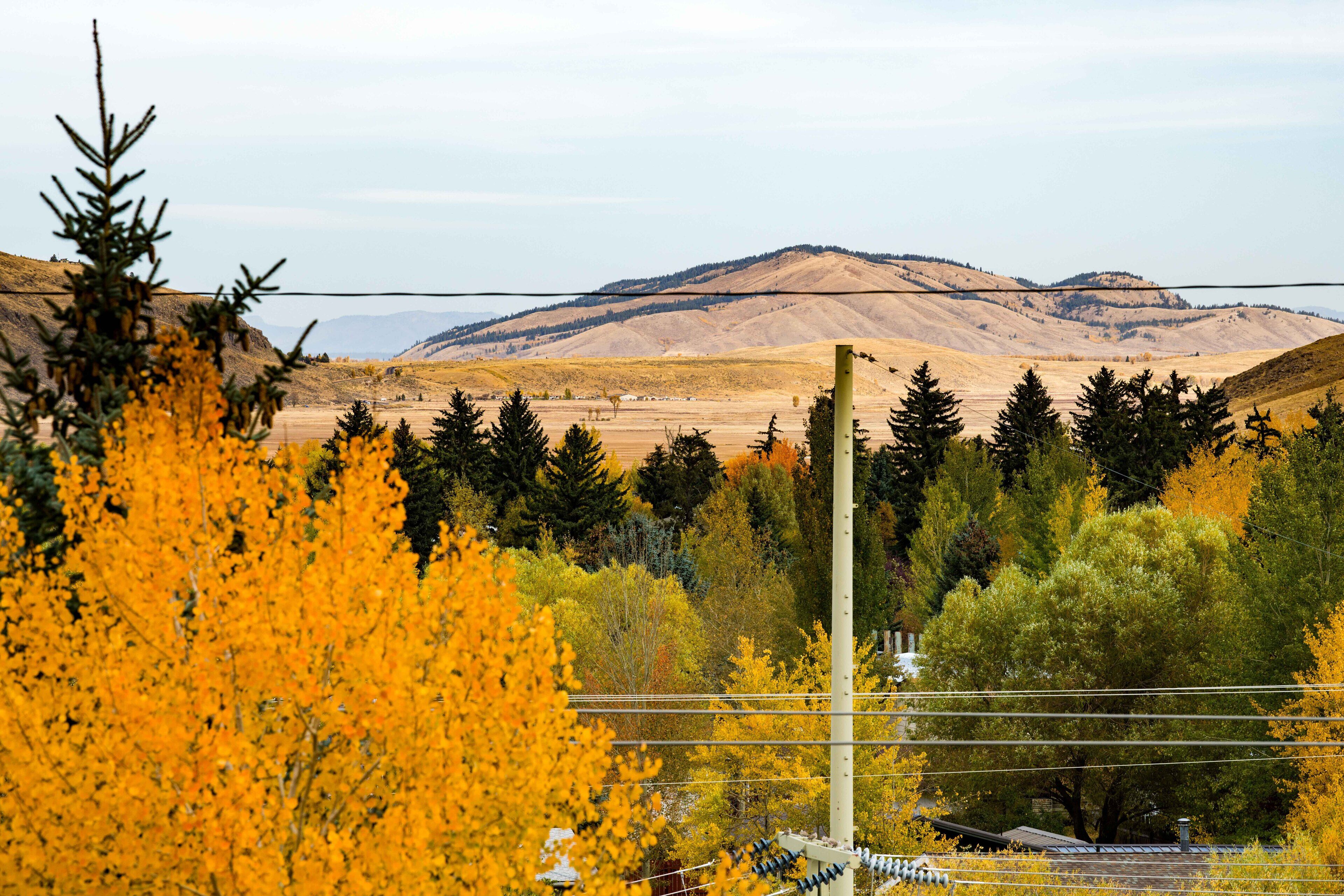 A landscape with autumn foliage, a mountain in the background, and power lines.