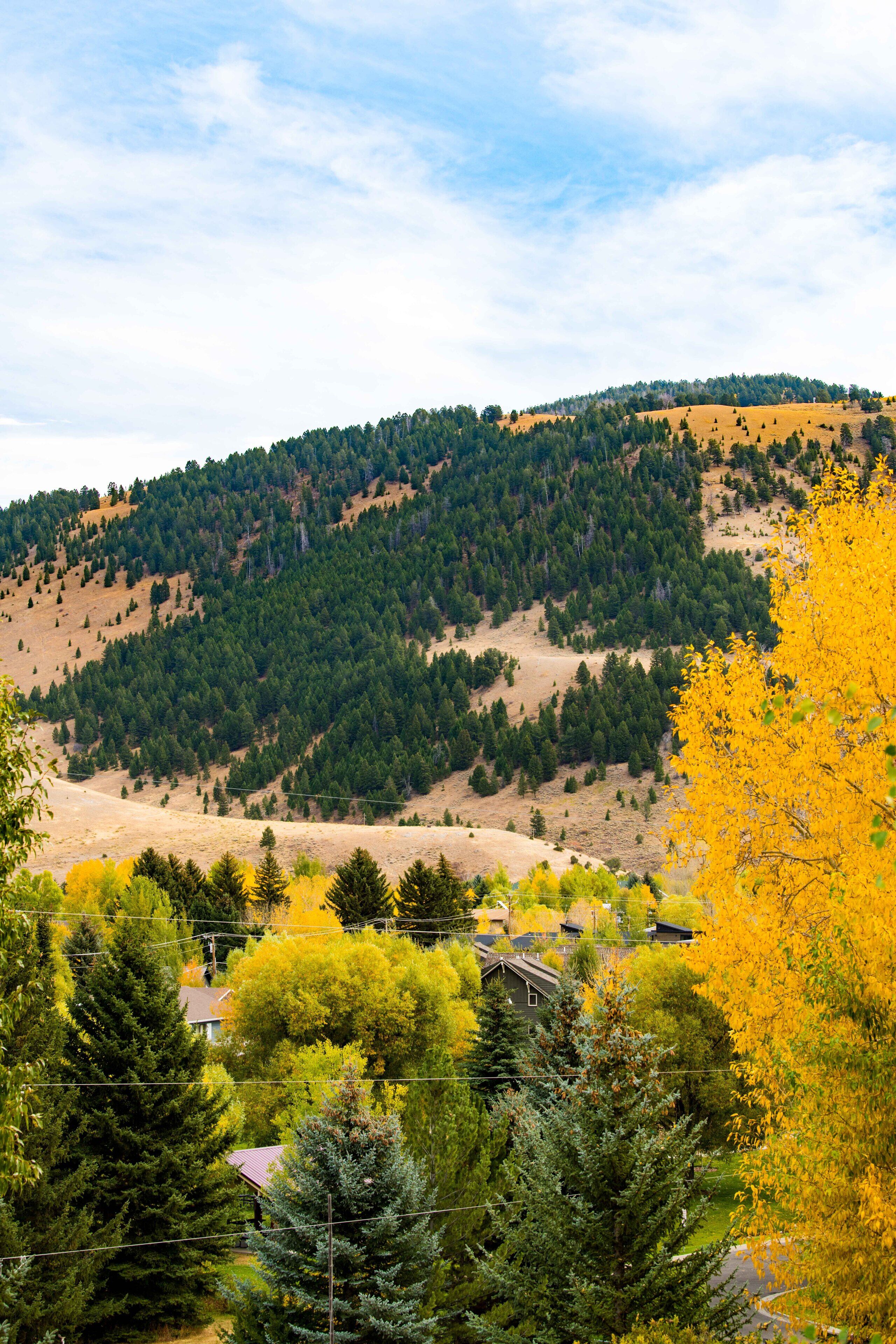 A residential area with houses surrounded by trees and hills in the background.