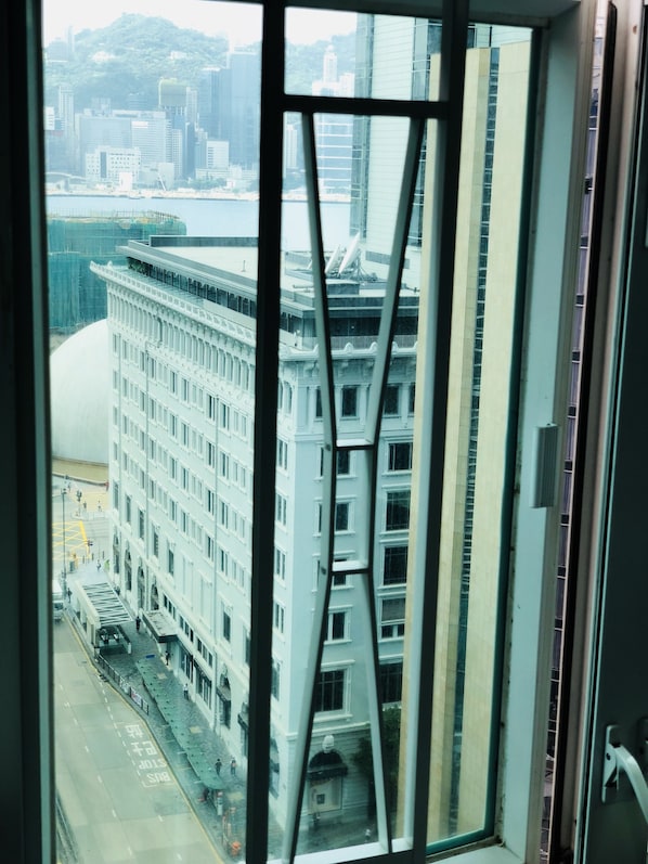 Vista desde la propiedad