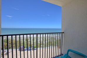Property grounds - Beautiful freshly remodeled beachfront condo (Belleair beach)