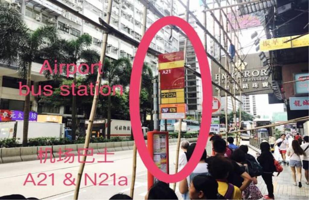 Shower, free toiletries, hair dryer, slippers