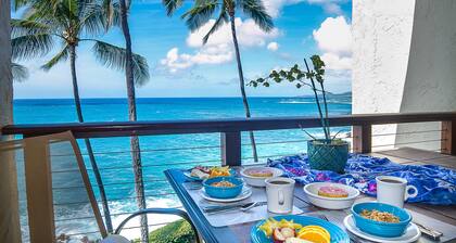 STUNNING OCEANFRONT * Poipu's Best View * New Air Conditioning throughout