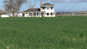 A two-story house with a large porch and a chimney, surrounded by a green field and a tree.