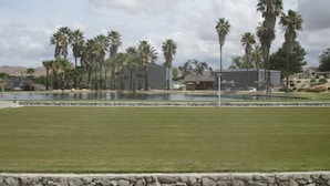 A pool area with palm trees and a stone border.