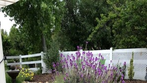 Un jardin agrémenté d’un grand bac à fleurs, d’une clôture blanche et de différentes plantes.