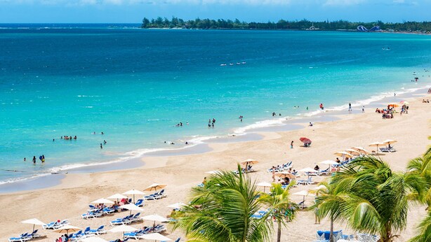 A beach with clear turquoise waters, sandy shores, and palm trees.