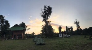 Property grounds - Pattamatararin (Doi Saket)