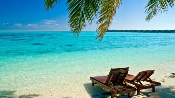 Een strand met helder turquoise water, twee houten ligstoelen en een palmboom.