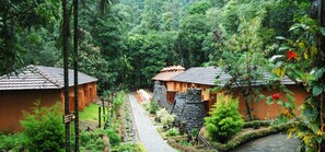 A pathway leading to traditional-style buildings surrounded by lush greenery. - Blue Ginger Resorts (Vythiri)
