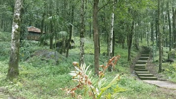 Ginger Premium Room with Fan (fan indicates no AC) | View from property