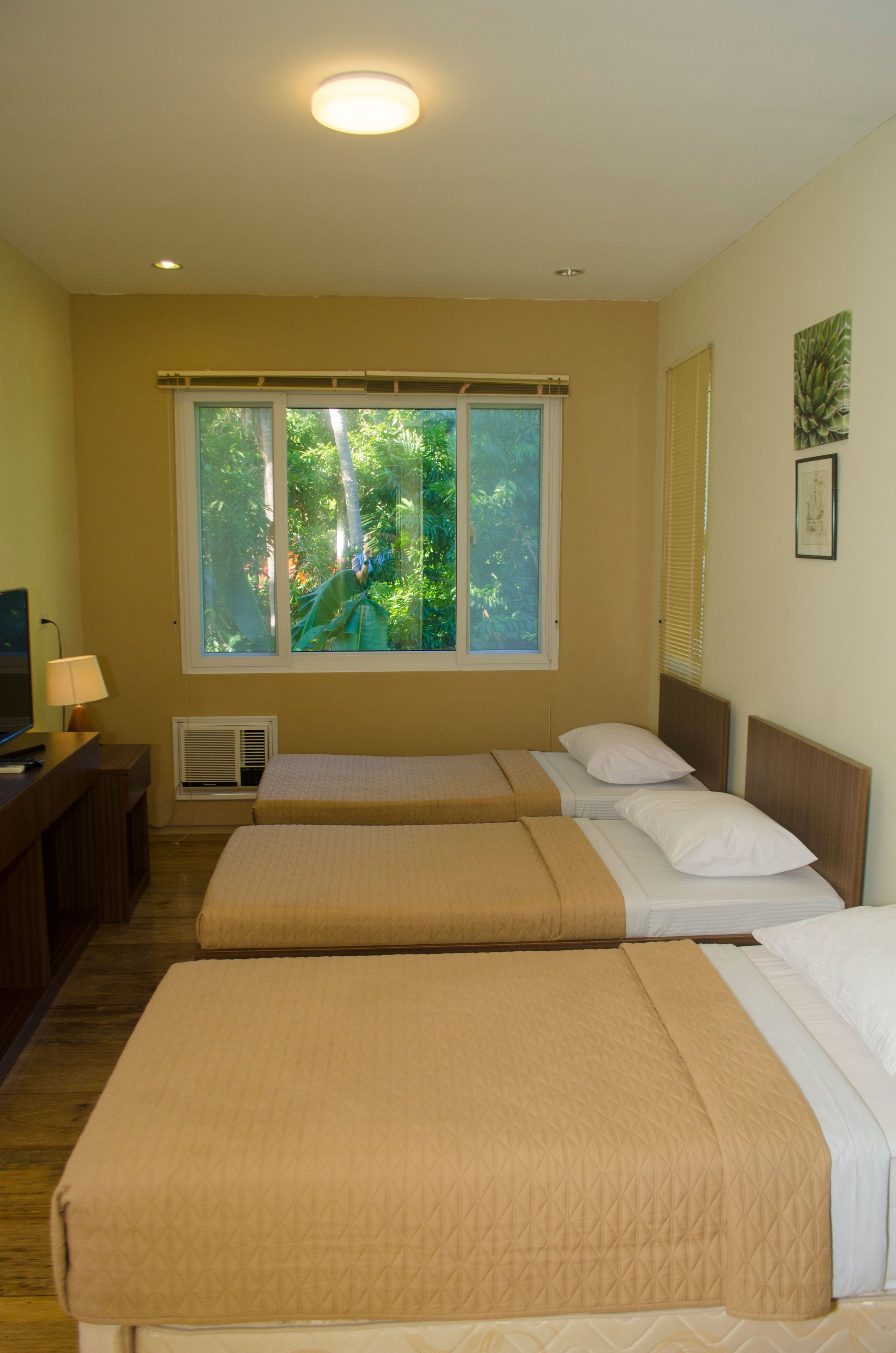 Desk, soundproofing, bed sheets