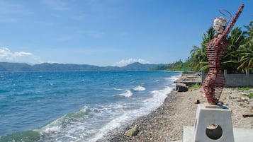 在海滩、水肺潜水、浮潜、划皮艇
