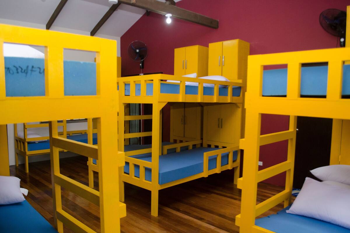 Une chambre avec des lits superposés, un plancher en bois et un mur rouge.
