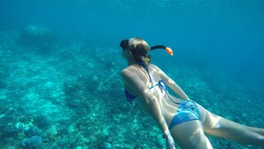 A person snorkeling underwater. - Colour Cottage (Gili Air)