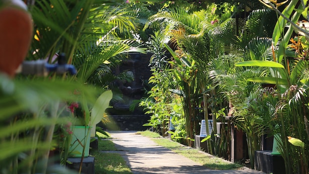 Unclassified image, 1 of 62, button - Colour Cottage (Gili Air)