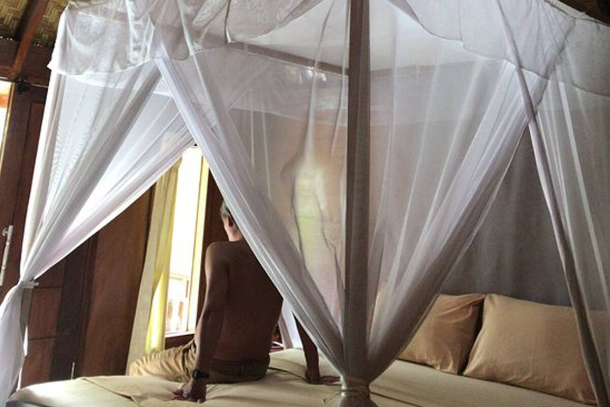 Chambre Double Standard | Minibar, coffres-forts dans les chambres, bureau, Wi-Fi gratuit
