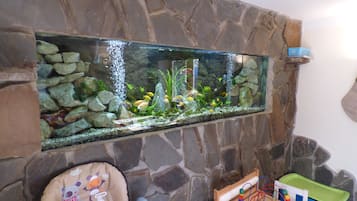 Children's play area - indoor