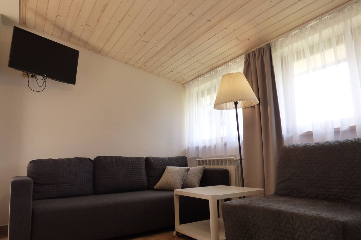 Apartment, 2 Bedrooms, Kitchenette | Living room
