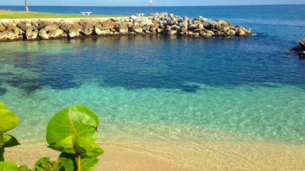 Beach - Coconuts Seafront 2BR, Ocho Rios (Ocho Rios)
