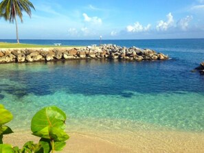 Beach - Coconuts Seafront 2BR, Ocho Rios (Ocho Rios)