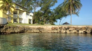 Beach - Coconuts Seafront 2BR, Ocho Rios (Ocho Rios)