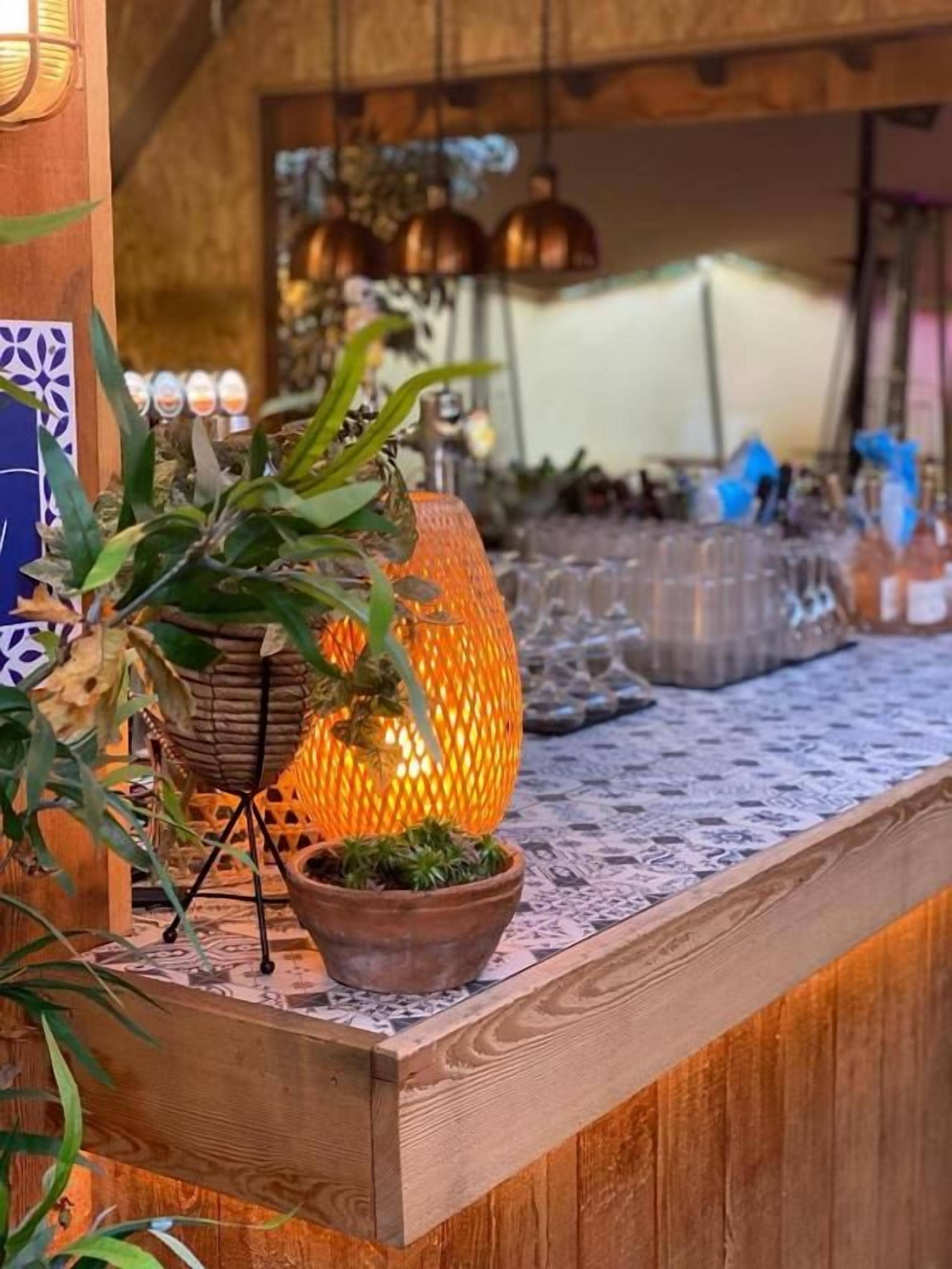 A wooden counter with potted plants and a decorative lamp.