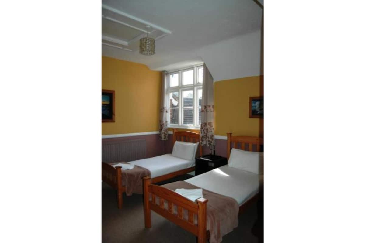 Standard Twin Room | Iron/ironing board, free WiFi, bed sheets