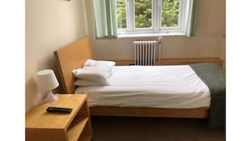 Basic Single Room | Iron/ironing board, free WiFi, bed sheets