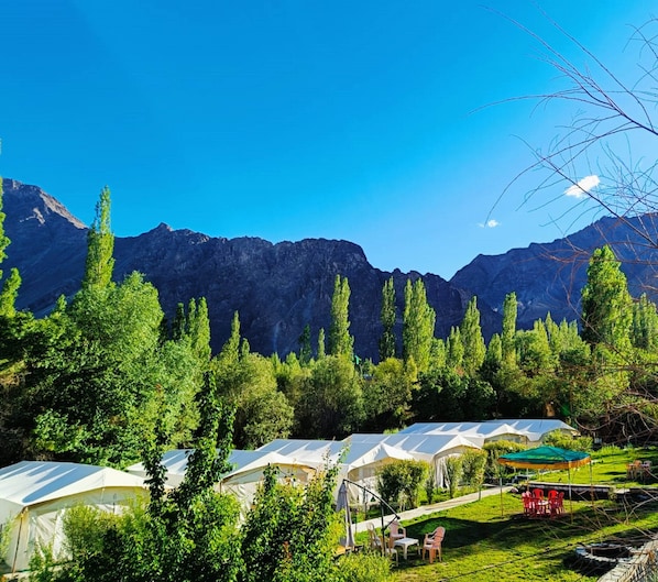 View from property - Mountain Camp (Leh)