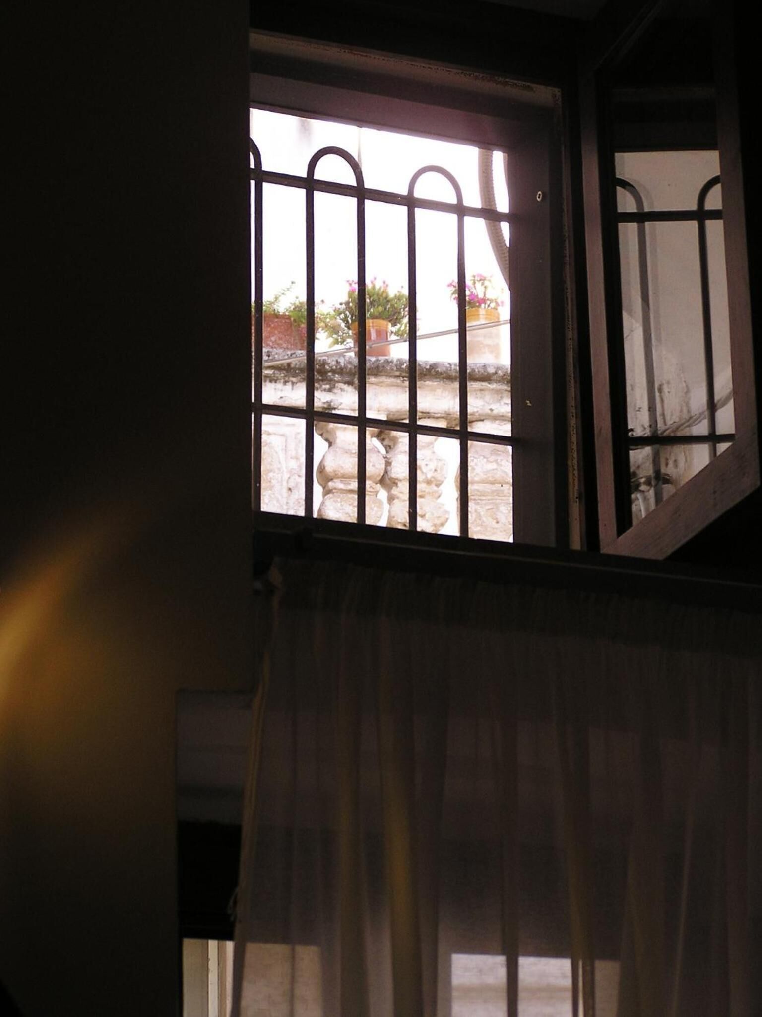 Ein Fenster mit Metallgitter, einem halb heruntergezogenen Vorhang und Blick auf Pflanzen und eine Steinmauer im Freien.