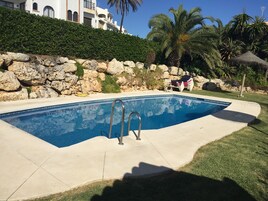 A swimming pool with a stone wall and palm trees in the background.