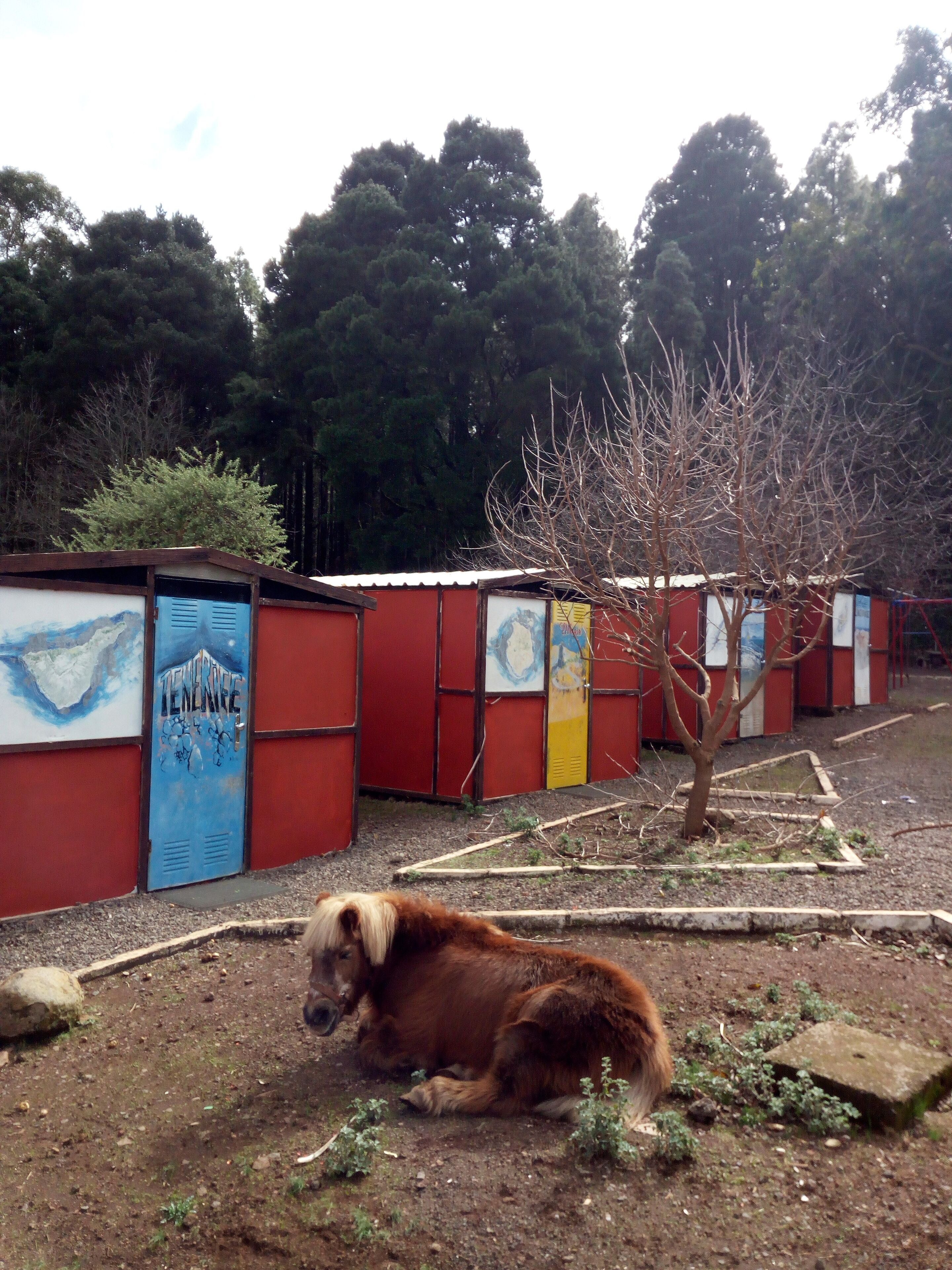 Perusmökki, 1 makuuhuone, jaettu kylpyhuone (Casetas Islas Canarias) | Vuodevaatteet