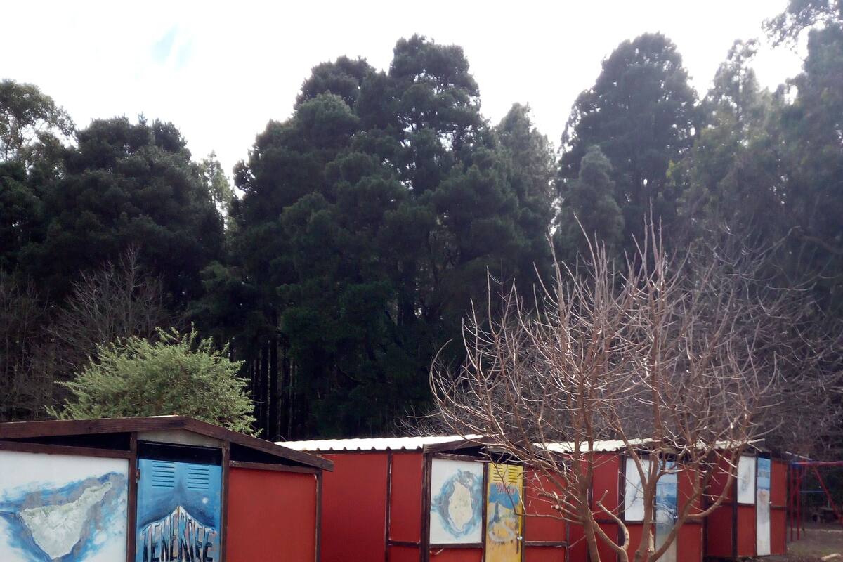 Perusmökki, 1 makuuhuone, jaettu kylpyhuone (Casetas Islas Canarias) | Vuodevaatteet