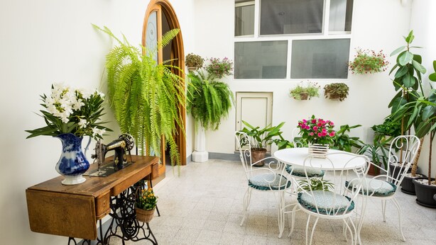 Un rincón comedor acogedor con una mesa de madera y sillas blancas, rodeado de plantas en macetas y una máquina de coser.